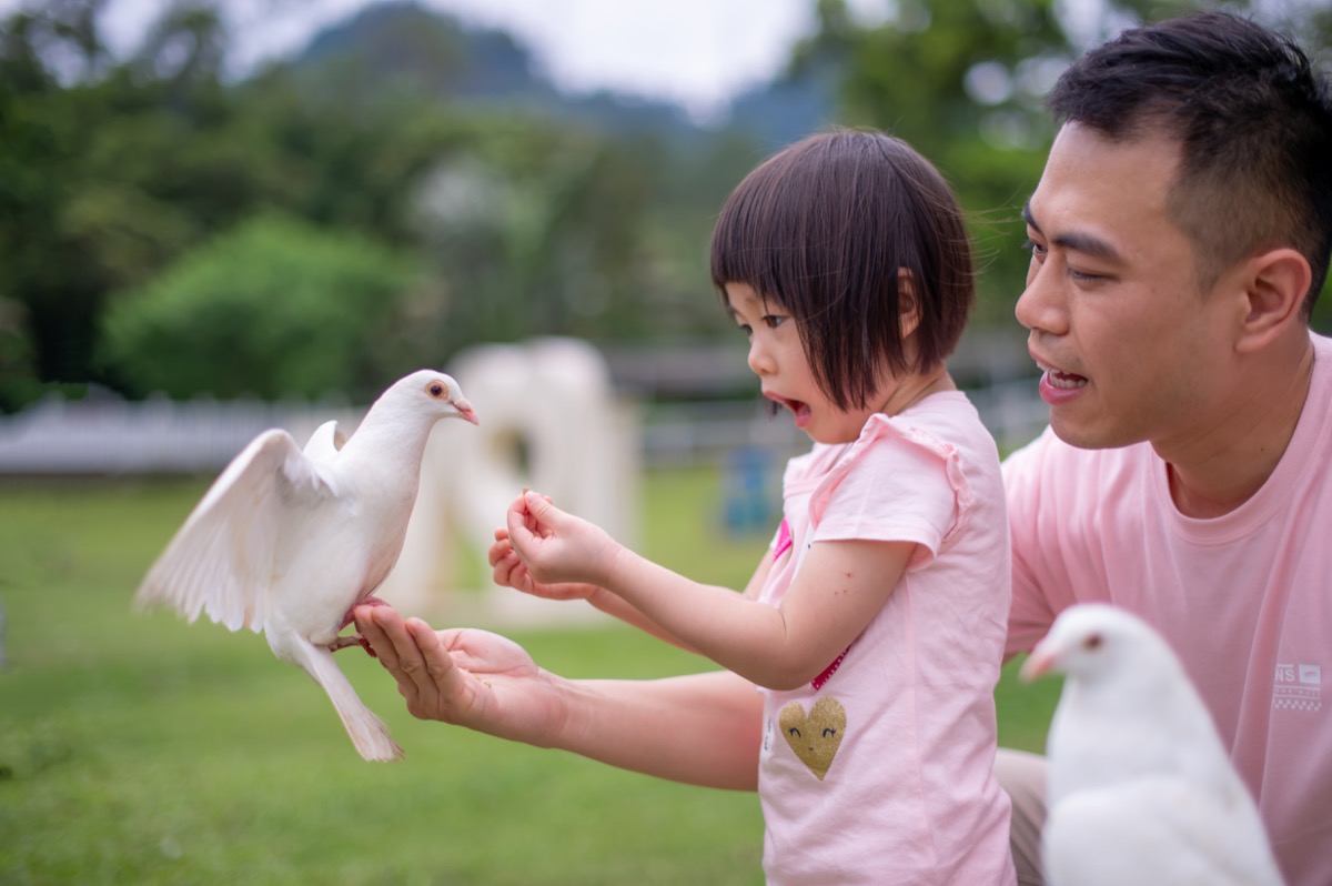 動物農場親子寫真|孩子與動物自然互動|親子寫真|家庭攝影|小巴老師|第 12 張