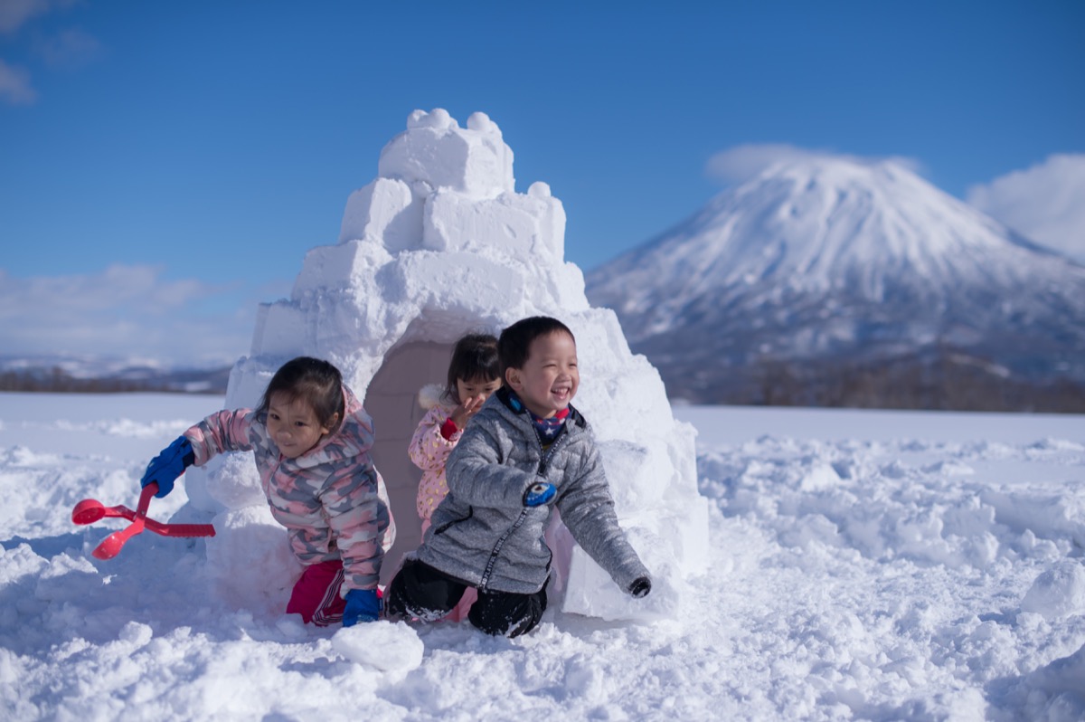 日本北海道夏季東北親子寫真|花海、草原、自然旅拍|小巴老師親子寫真