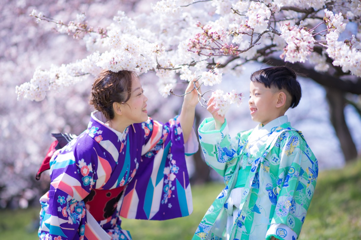 春季櫻花繡球花親子寫真|花季家庭旅拍|親子寫真|家庭攝影|小巴老師|第 5 張