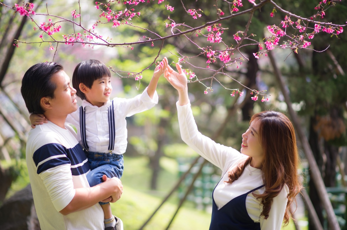 春季櫻花繡球花親子寫真|花季家庭旅拍|親子寫真|家庭攝影|小巴老師|第 18 張