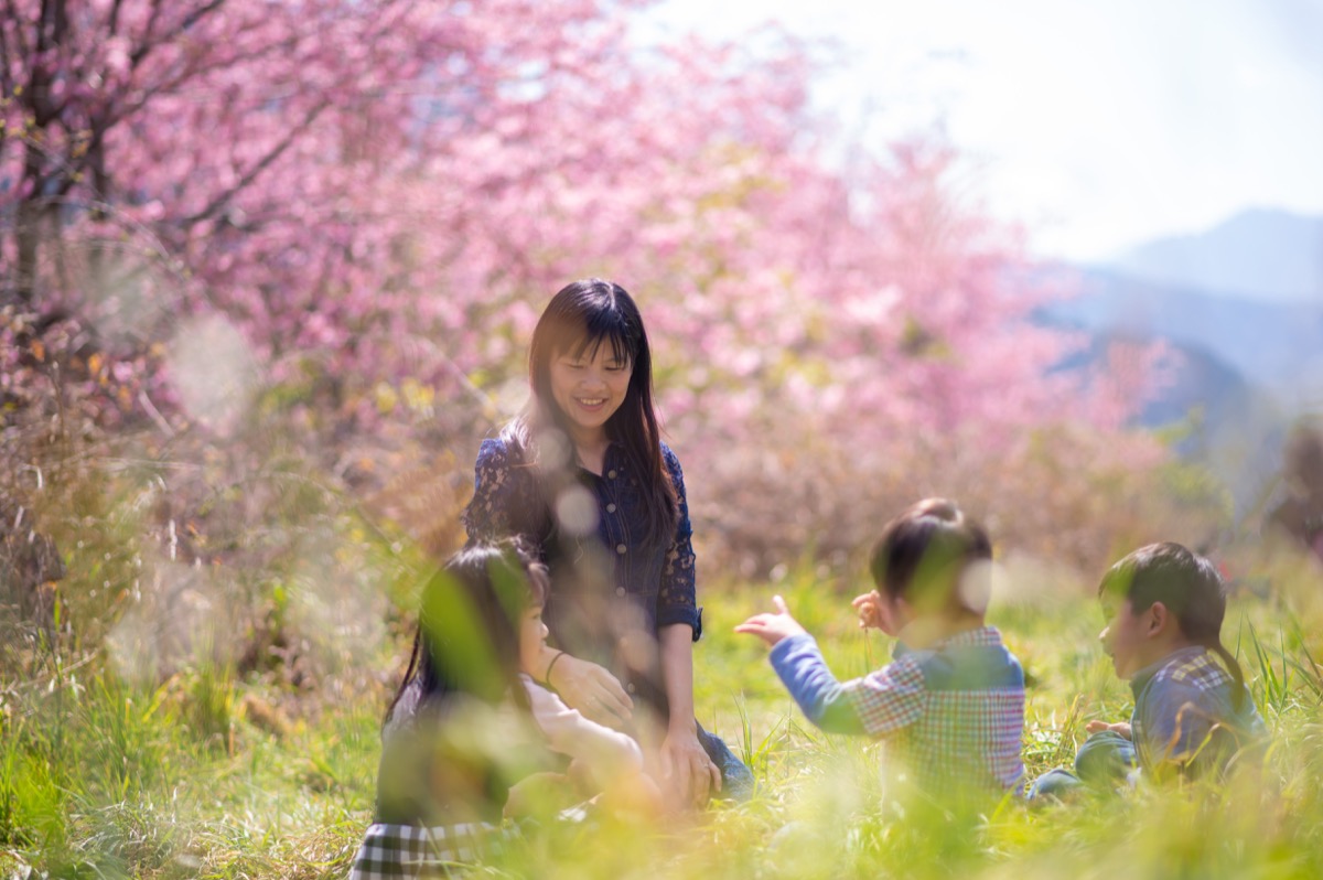 春季櫻花繡球花親子寫真|花季家庭旅拍|親子寫真|家庭攝影|小巴老師|第 20 張