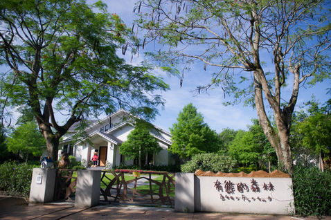 花蓮親子寫真｜山海風景與自然家庭旅拍｜親子寫真｜家庭攝影｜小巴老師｜第 31 張