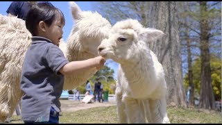 桃園親子寫真｜草地、森林、親子旅拍｜親子寫真｜家庭攝影｜小巴老師｜第 42 張