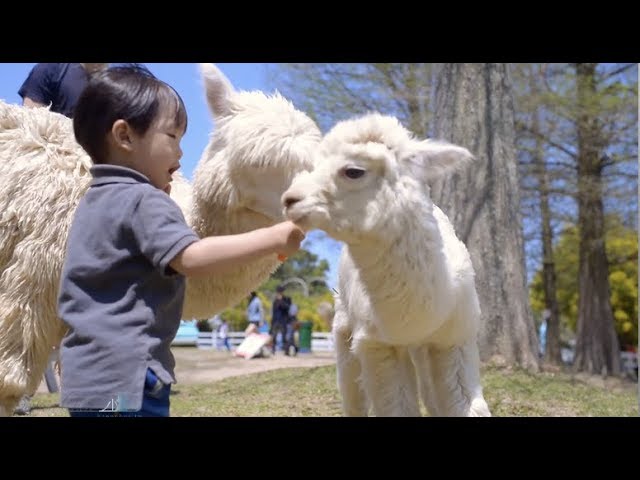 桃園親子寫真｜草地、森林、親子旅拍｜親子寫真｜家庭攝影｜小巴老師｜第 43 張
