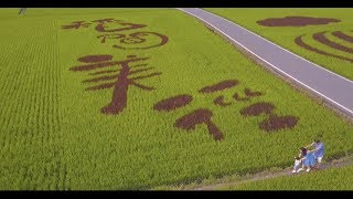 宜蘭親子寫真｜自然風景、農場與家庭旅拍｜親子寫真｜家庭攝影｜小巴老師｜第 106 張