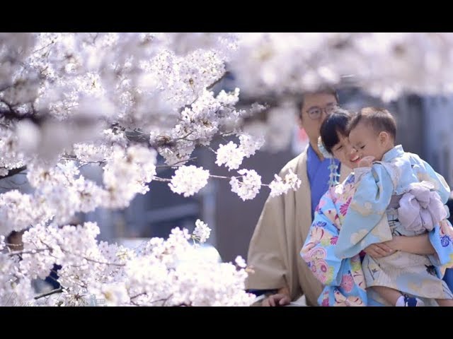 春季櫻花繡球花親子寫真｜花季家庭旅拍｜親子寫真｜家庭攝影｜小巴老師｜第 34 張