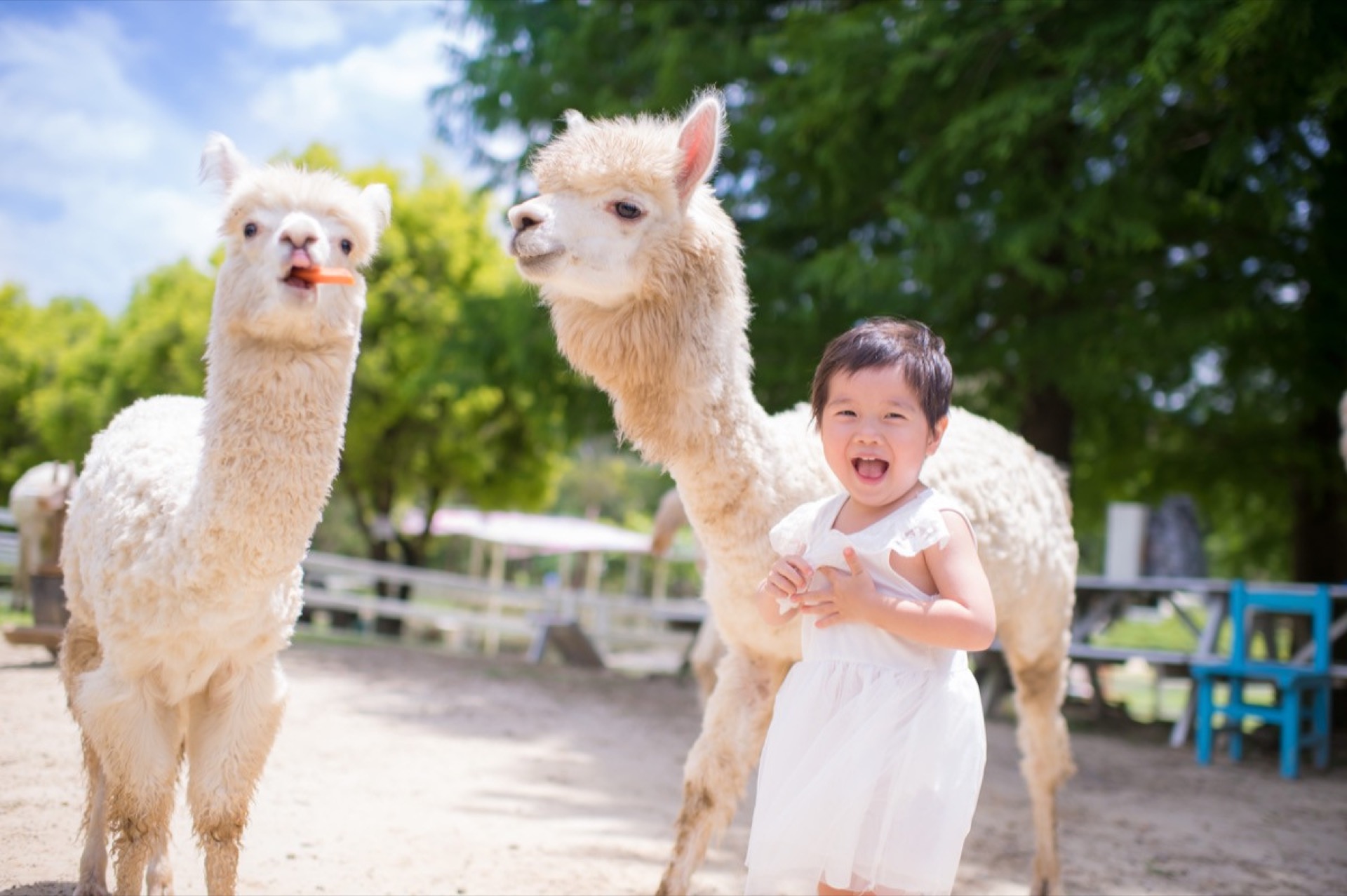 寶寶寫真｜在公園裡慢慢長大的日常 第 1 張｜親子寫真與家庭寫真